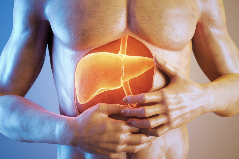 What No One Tells You About Weight Gain and Liver Inflammation