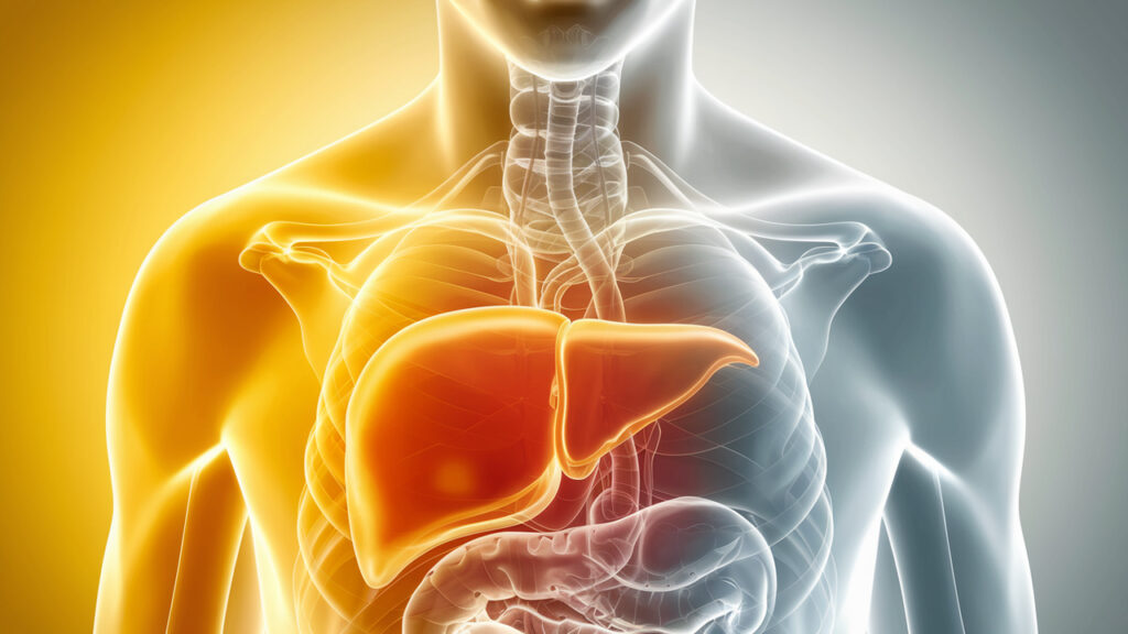 Is Your Liver the Reason You’re Always Tired? Here’s How to Tell
