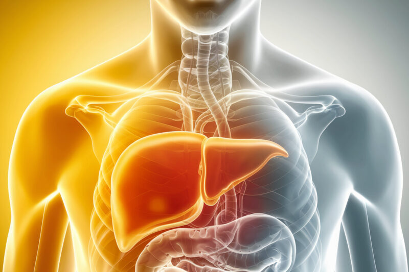 Is Your Liver the Reason You’re Always Tired? Here’s How to Tell