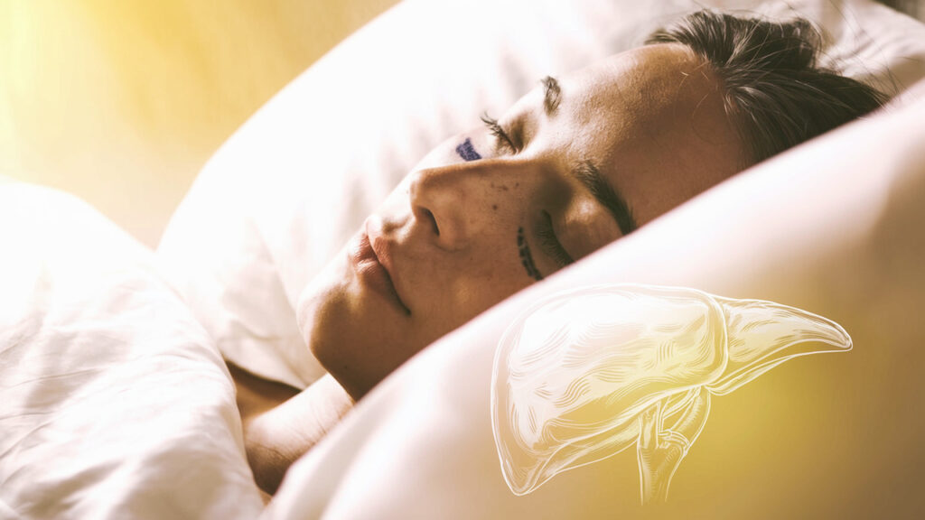Why You’re Still Tired (Even After Sleeping 8 Hours): Liver Clues