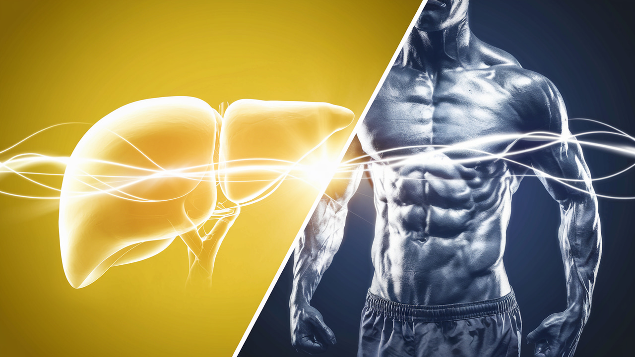 Can Liver Support Improve Hormonal Balance and Fat Loss?