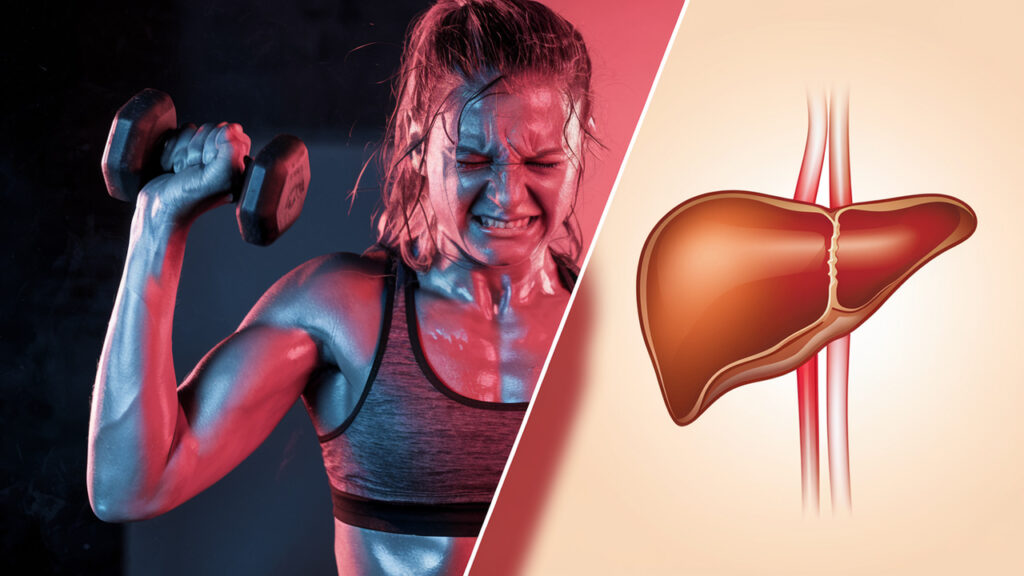Why Your Workouts Won’t Burn Fat If Your Liver Is Inflamed