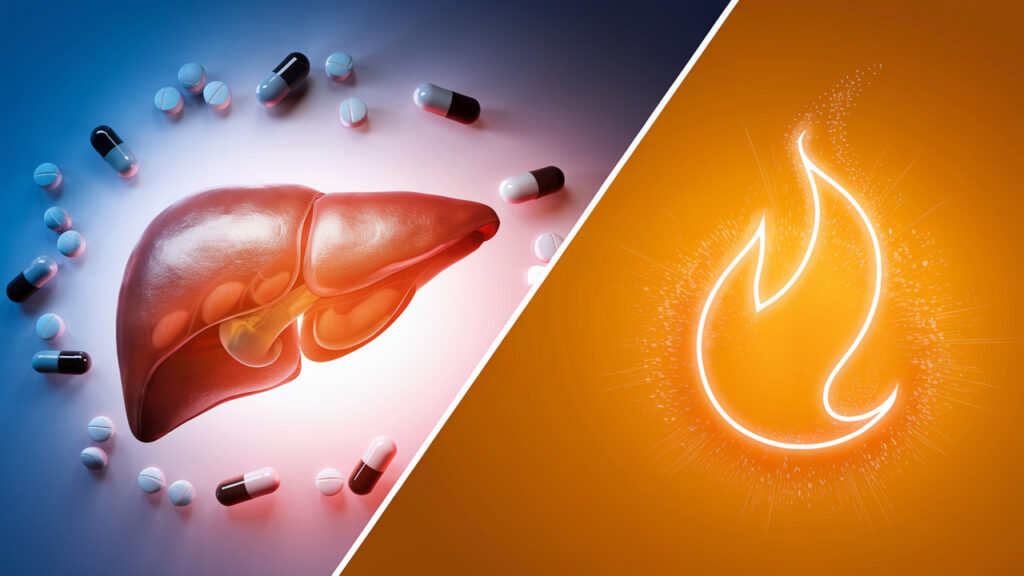 Can Liver Supplements Really Boost Your Metabolism? Here’s the Truth