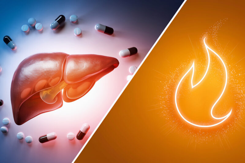 Can Liver Supplements Really Boost Your Metabolism? Here’s the Truth
