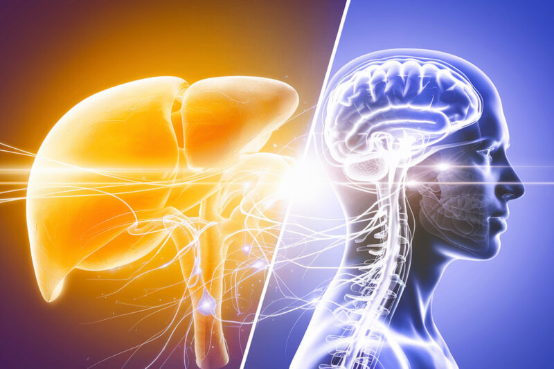 Can Supporting the Liver Help With Mood and Brain Fog?