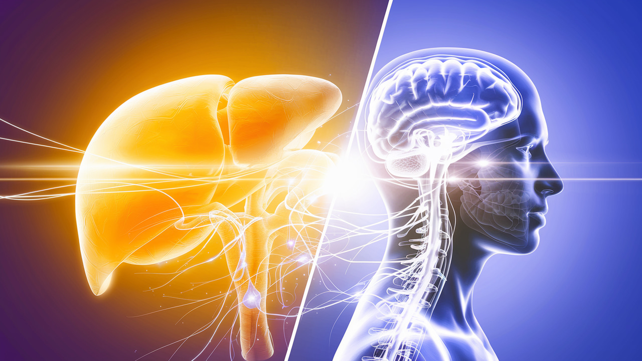 Can Supporting the Liver Help With Mood and Brain Fog?