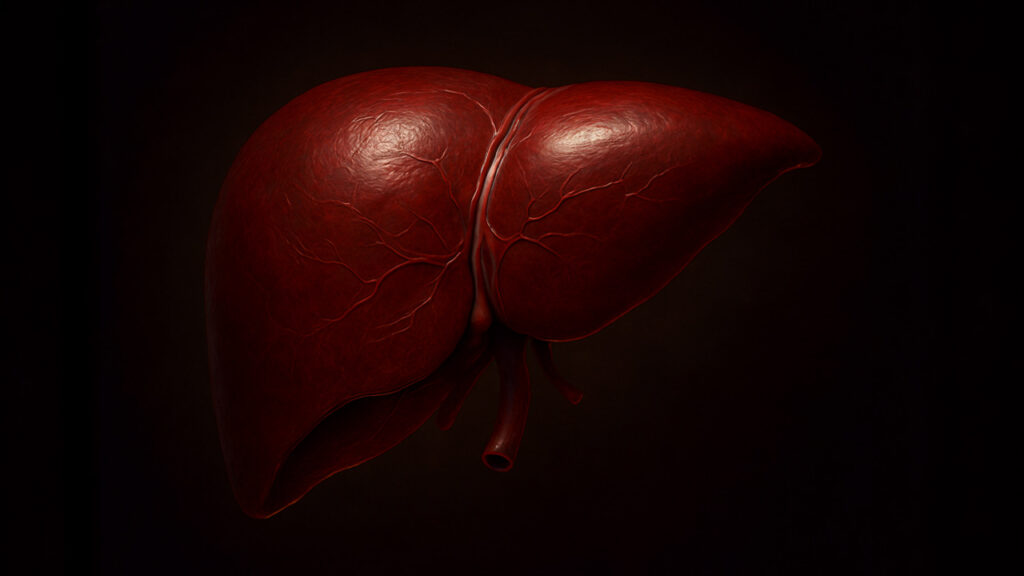 The #1 Organ You Should Focus on If You Can’t Lose Fat